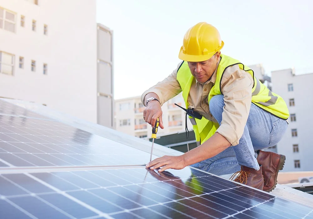 Custom Solar Plant Designing